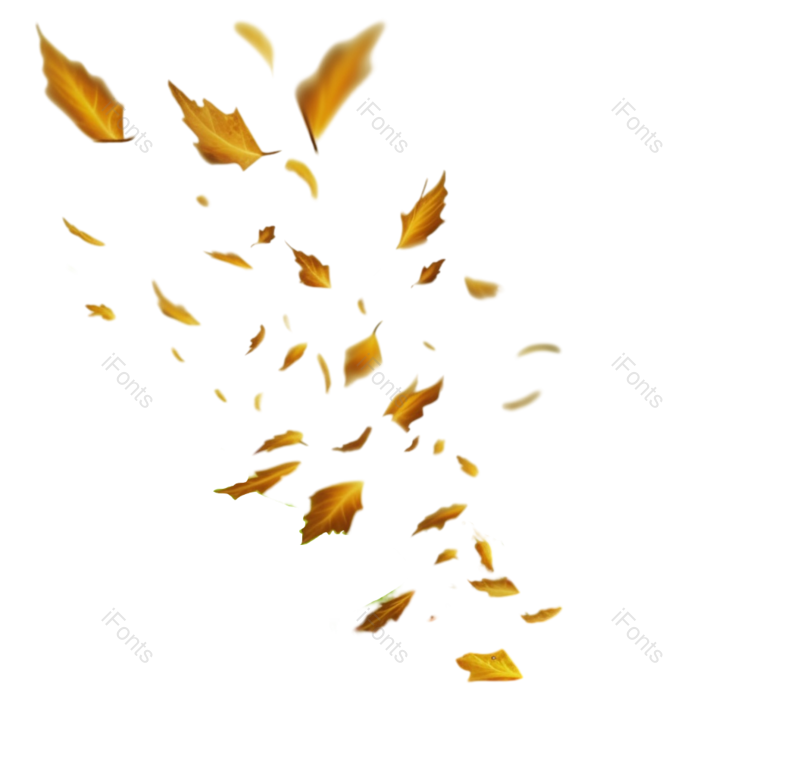 装饰图片,清新元素,动感PNG,装饰树叶免抠素材